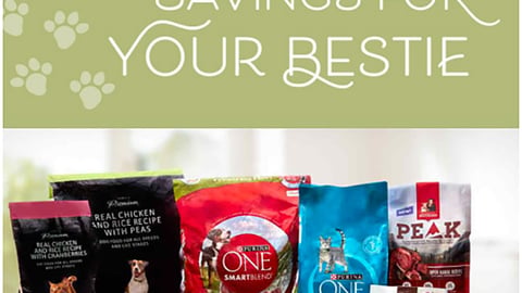 Publix 'Savings for Your Bestie' Email