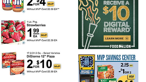 Food Lion 'School of Champions' Email Ad
