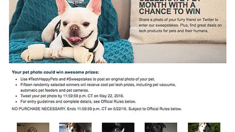 Best Buy 'Pet Tech' Web Page