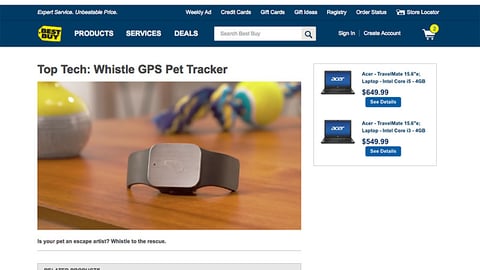 Best Buy Whistle Landing Page