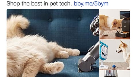 Best Buy 'Pets Love This Tech' Twitter Update