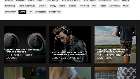 Best Buy Ignite Web Page