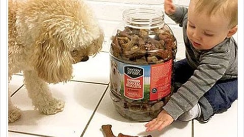 BJ's Berkley Jensen 'National Pet Day' Facebook Update