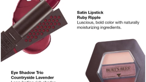 CVS 'Burt's Bees Has Arrived' Email