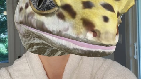 PetSmart Snapchat AR Lens