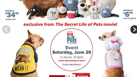 PetSmart 'The Secret Life of Pets' Feature