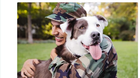 PetSmart 'Service Dogs for Heroes' Twitter Update