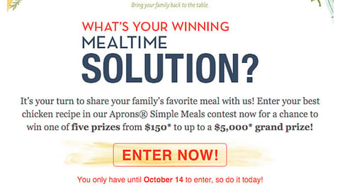 Publix 'Winning Mealtime Solution' Email