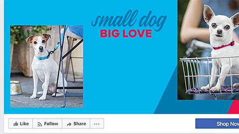 PetSmart 'Small Dog, Big Love' Facebook Cover