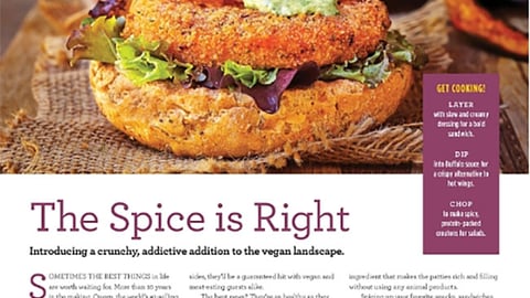 Hannaford Quorn 'The Spice Is Right' Fresh Magazine Advertorial