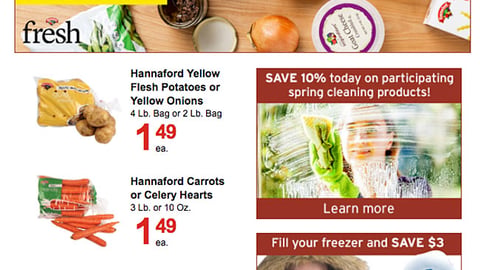 Hannaford 'Save 10% Today' E-Mail Ad