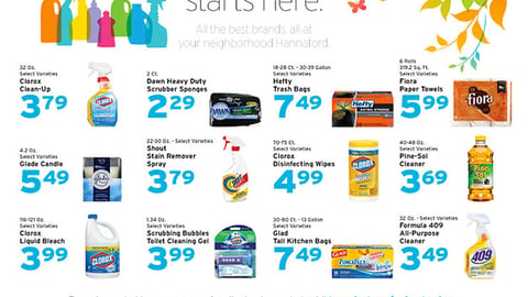 Hannaford 'Spring Cleaning Starts Here' Feature