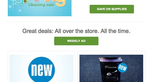 Publix 'Fresh Is in the Air' Email Ad