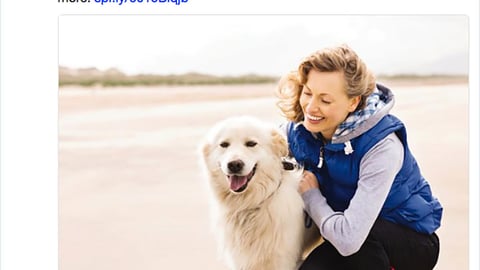 PetSmart 'Spring Into Gear' Twitter Update