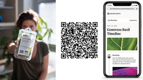 Square Roots QR Codes