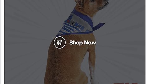 Star Wars Pet Fans Collection 'Galaxy of Fun' Facebook Update