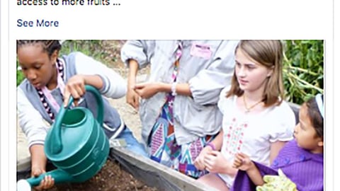 Whole Foods 'Support Garden Grants' Facebook Update