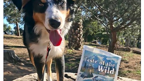 Petco Taste of the Wild 'We're Wild About This News' Facebook Update