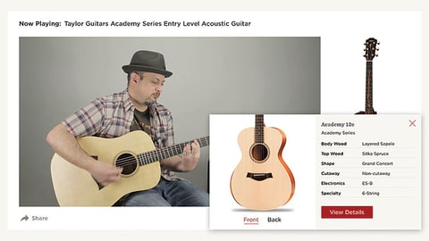 Taylor Guitars Video Destination