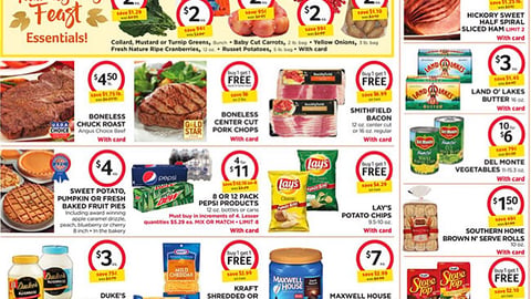 Bi-Lo 'Thanksgiving Feast' Feature