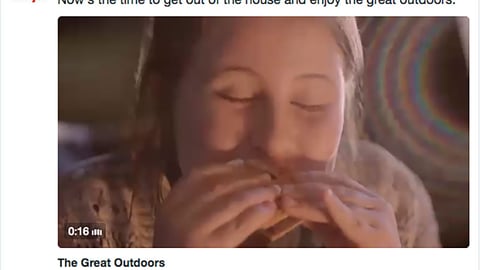 Meijer 'The Great Outdoors' Twitter Update
