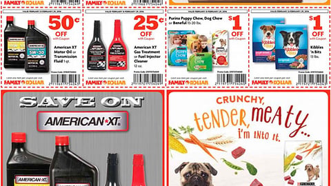 Family Dollar Beneful 'Crunchy, Tender, Meaty' Feature