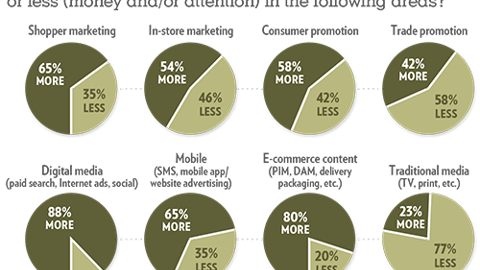 Trends 2019: Compared to last year, is your company investing more or less (money and/or attention) in the following areas?