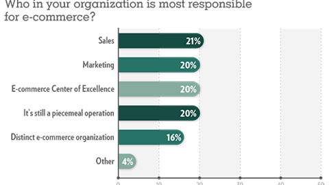 Trends 2019: Who in your organization is most responsible for e-commerce?
