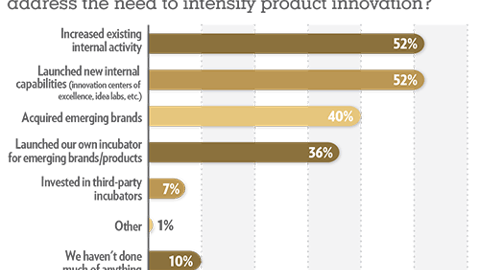 Trends 2019: What actions, if any, is your organization taking to address the need to intensify product innovation?