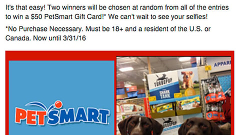 TurboPUP PetSmart 'Have You Heard?' Facebook Update
