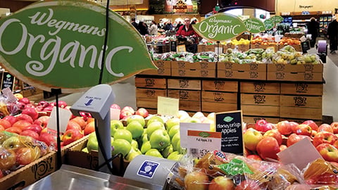 Wegmans Produce Department