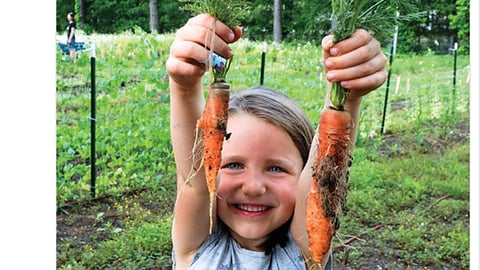 Whole Kids Foundation King Arthur Flour #GivingTuesday Twitter Update