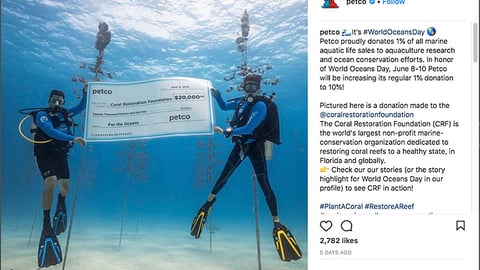 Petco #WorldOceansDay Instagram Update