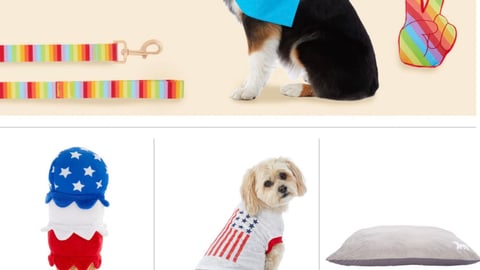 PetSmart You Are Loved Feature