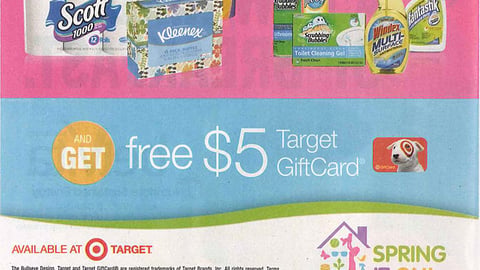 K-C/SCJ Target 'Spring It On' FSI