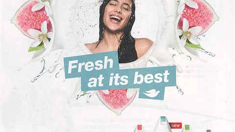 Walgreens Unilever 'Energizing Summer' FSIs