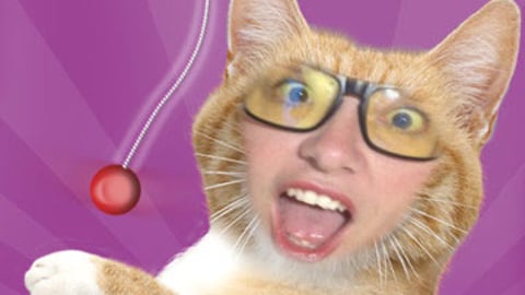Purina "Catify Yourself" iPhone App
