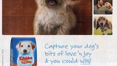 Del Monte 'Bits of Love' FSI