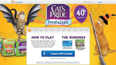 Cat's Pride Interactive Halloween Campaign