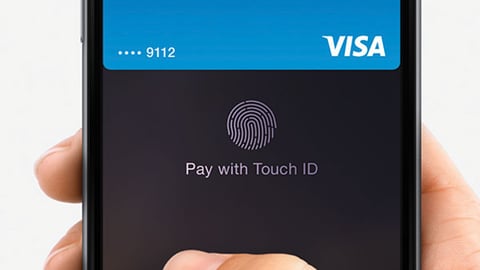 Apple Pay Touch ID