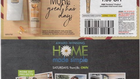 Pantene '2X More' FSI