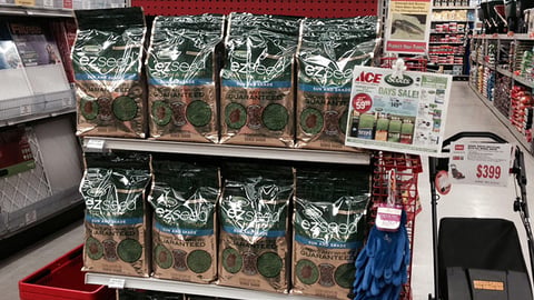 Ace Scotts ‘EZ Seed’ Endcap