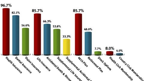 P-O-P Company Owners/CEO's: In 2003, which of the following benefits will your company offer?