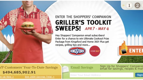 Food Lion Kingsford 'Grillin' Time' Banner Ad