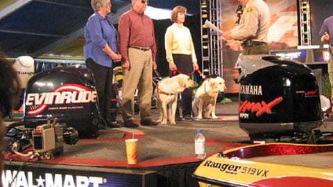 Pedigree/Wal-Mart 'Paws' Event