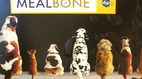 Pedigree Mealbone Header