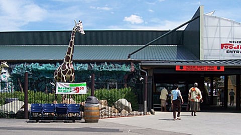 Jungle Jim's Exterior