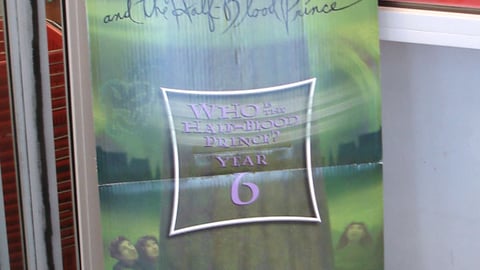'Harry Potter' Standee