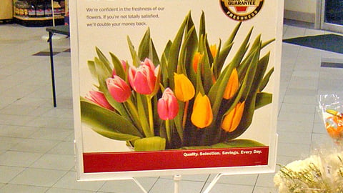 Giant Double Money Back Guarantee Floral Stanchion
