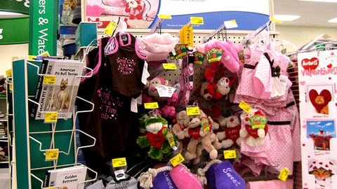 PetSmart Valentine's Day Endcap